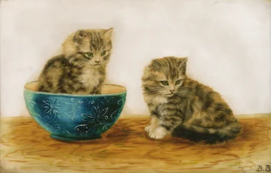 Felinos a brincar